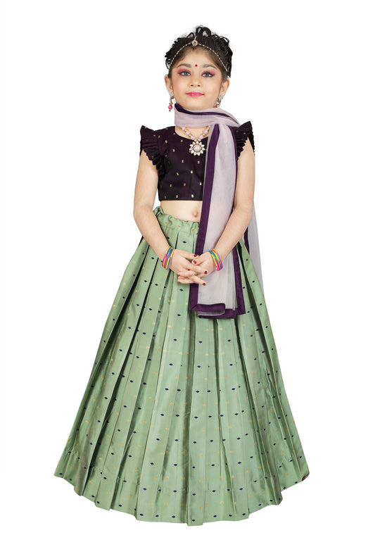 Girls Pista Traditional Lehenga With Dupatta Set Choli Kids