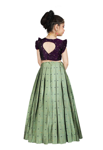 Girls Pista Traditional Lehenga With Dupatta Set Choli Kids