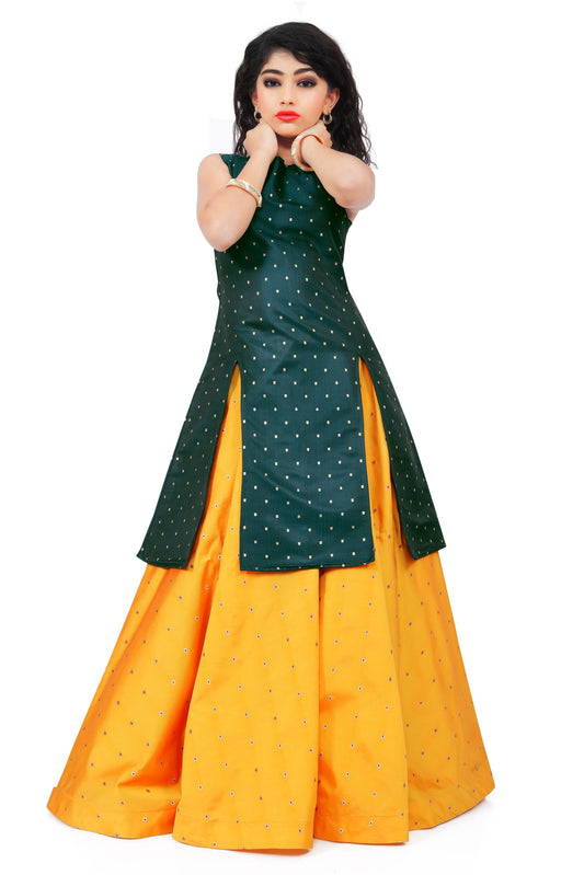 Girls Traditional western Lehenga dress