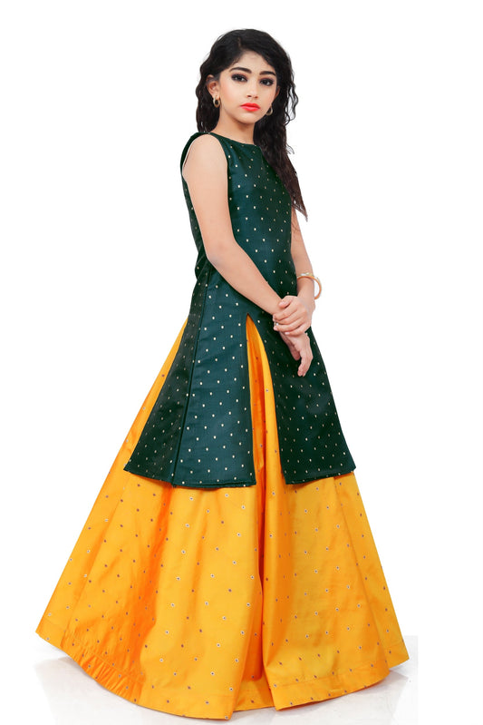 Girls Traditional western Lehenga dress